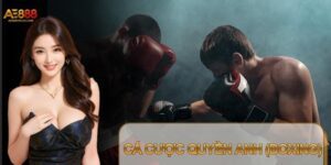 Cá Cược Quyền Anh (Boxing) – Kinh Nghiệm Chơi Từ Chuyên Gia